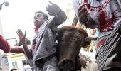 In PHOTOS: Smashing party with Spanish bulls
