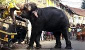 IN PHOTOS! The unusual glimpses from India