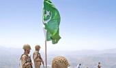 Pakistan Army brigadier held for 'terror links'