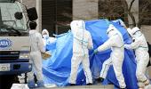 Fukushima operators' disastrous error irks Japan