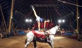 THE BIG TOP: The circus comes to town