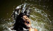 BIG VIEW: 26 stunning PHOTOS that tell a story