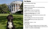 Oops! Obama calls dog more charismatic than mom-in-law