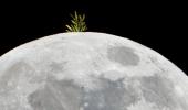 Chinese now plan to grow vegetables on Moon