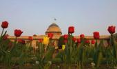 MUST SEE: President's regal garden in full bloom!