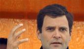 'Congress may not win, but Rahul has, single-handedly, revived the party'