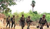 '8000 killed in final phase of Sri Lanka's civil war'