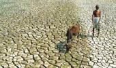 When will distressed farmers get help, Sena asks Centre