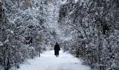 IN PHOTOS: Biting cold freezes life in Kashmir