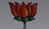 'Modi can be mascot who will bring BJP to power'