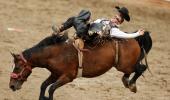 PIX: Fantastic glimpses of the Rodeo festival