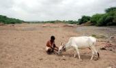 PHOTOS: In the land of no food, no water, no livelihood