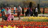 PHOTOS: A flowery delight at Srinagar tulip garden