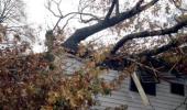 Family escapes as tree destroys house in Sandy-hit US