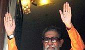 Decoding Bal Thackeray: Bindhast!