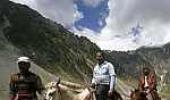 Provide concrete road to Amarnath pilgrims: SC to J&K govt