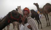 PHOTOS: Glimpses of world's LARGEST camel fair in Pushkar