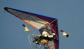 IN PHOTOS: When Putin FLEW with Siberian cranes