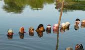 50 protestors in chin-deep water wait to be heard