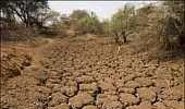 Kerala facing 'grim' drought, govt gears up machinery