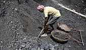 Govt interfered in CBI probe into coal scam: SC told