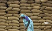 All you wanted to know about the food security bill