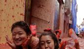 The TOMATINA album: World's biggest food fight, now at a price