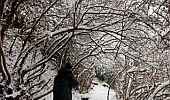 Kashmir: Heavy snow shuts Mughal Road, tourists stranded