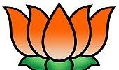 Sparks fly ahead of BJP presidential election