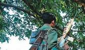 Naxal cocktail: Stolen guns, extorted money, violent threats