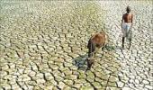 Govt outlines Rs 60,000 cr to make drought-free Maharashtra