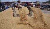 UPA to bring ordinance to implement Food Security Bill