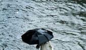 Monsoon: 13 dead in Uttarakhand, dozens stranded in Haryana