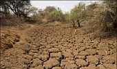 Maharashtra gets Rs 1,207-cr drought relief package