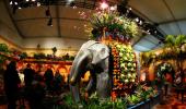 Colours of South Asia in NY's famed Macy's Flower Show