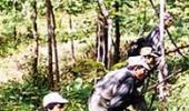 Hunt for killer Naxal leaders starts in Andhra forest