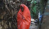 Cyclone Phailin claims 17 lives; many more in tatters