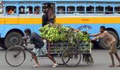 The bye-cycle diaries of Kolkata