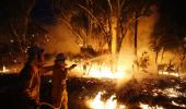 In PHOTOS: Australia's deadly bushfires go out of control