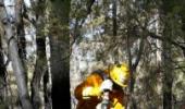 Aus fire crisis eases, but firefighters warn fight isn't over