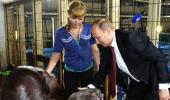 Greeting a walrus... Things Vladimir Putin does