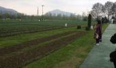 PHOTOS: Kashmir's tulip garden a bit 'under the weather'