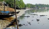 Oil spill in Bangladesh Sunderbans; India on high alert