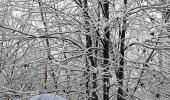 PHOTOS: A picture-perfect snowy winter in Kashmir