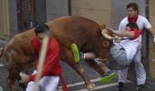 PHOTOS: Why a bull chasing you is not really fun