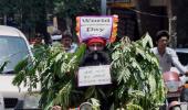 PHOTOS: Green Day mania hits India