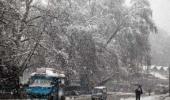 11 killed in avalanches, house collapse in J-K