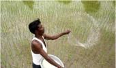 Maha govt gets EC's nod on compensation for farmers