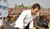 Congress 'primary': Another exercise in failure for Rahul Gandhi?