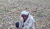 In Photos: Hailstorm kills farmers' hopes in Maharashtra's Vidarbha